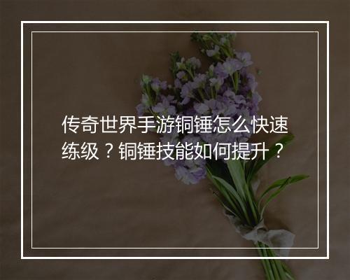 传奇世界手游铜锤怎么快速练级?铜锤技能如何提升?