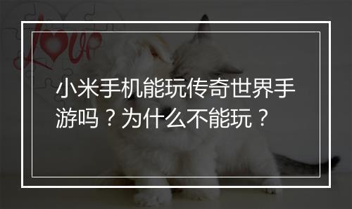 小米手机能玩传奇世界手游吗？为什么不能玩？