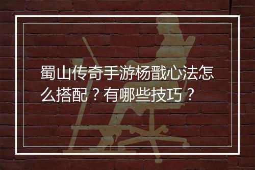 蜀山传奇手游杨戬心法怎么搭配？有哪些技巧？
