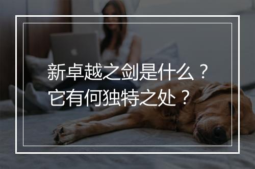 新卓越之剑是什么？它有何独特之处？