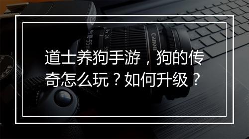 道士养狗手游，狗的传奇怎么玩？如何升级？