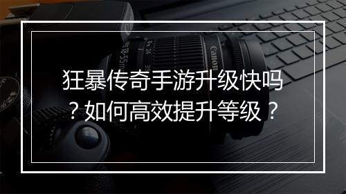 狂暴传奇手游升级快吗？如何高效提升等级？