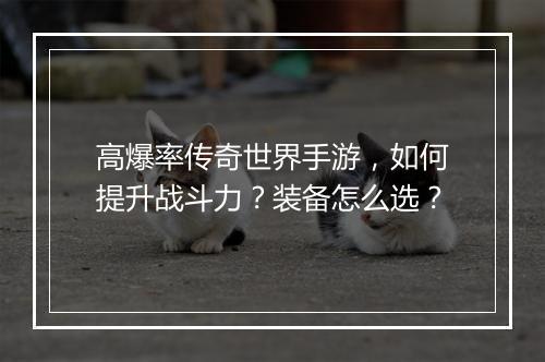 高爆率传奇世界手游，如何提升战斗力？装备怎么选？
