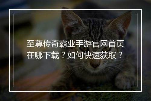至尊传奇霸业手游官网首页在哪下载？如何快速获取？
