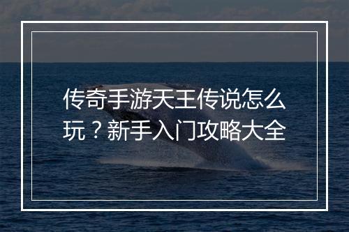 传奇手游天王传说怎么玩？新手入门攻略大全