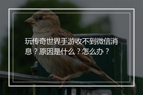 玩传奇世界手游收不到微信消息？原因是什么？怎么办？