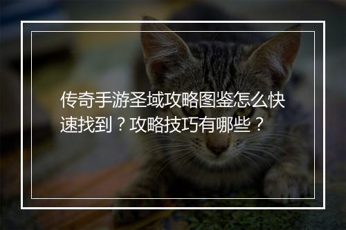传奇手游圣域攻略图鉴怎么快速找到？攻略技巧有哪些？
