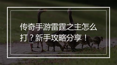 传奇手游雷霆之主怎么打？新手攻略分享！