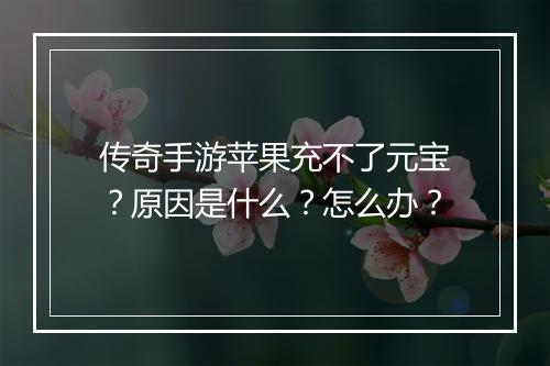 传奇手游苹果充不了元宝？原因是什么？怎么办？