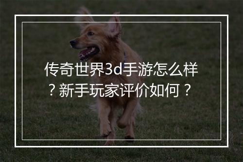传奇世界3d手游怎么样？新手玩家评价如何？