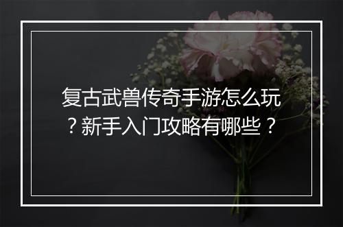 复古武兽传奇手游怎么玩？新手入门攻略有哪些？