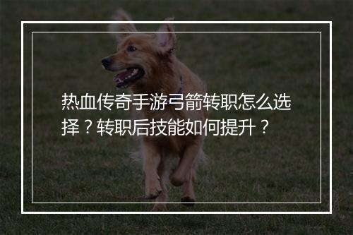 热血传奇手游弓箭转职怎么选择？转职后技能如何提升？
