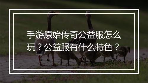 手游原始传奇公益服怎么玩？公益服有什么特色？