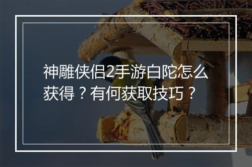 神雕侠侣2手游白陀怎么获得？有何获取技巧？