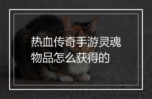 热血传奇手游灵魂物品怎么获得的