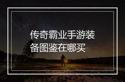 传奇霸业手游装备图鉴在哪买