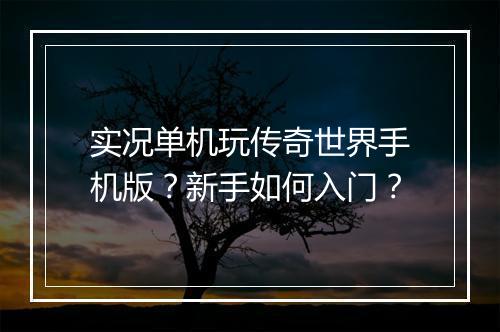 实况单机玩传奇世界手机版？新手如何入门？