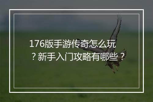176版手游传奇怎么玩？新手入门攻略有哪些？