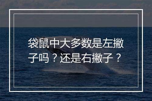 袋鼠中大多数是左撇子吗？还是右撇子？