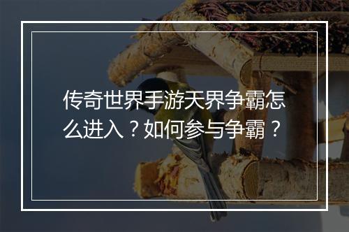 传奇世界手游天界争霸怎么进入？如何参与争霸？