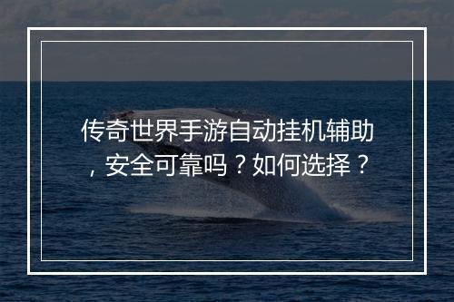传奇世界手游自动挂机辅助，安全可靠吗？如何选择？