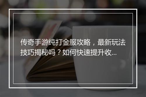 传奇手游纯打金服攻略，最新玩法技巧揭秘吗？如何快速提升收益？