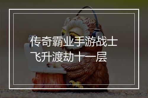 传奇霸业手游战士飞升渡劫十一层