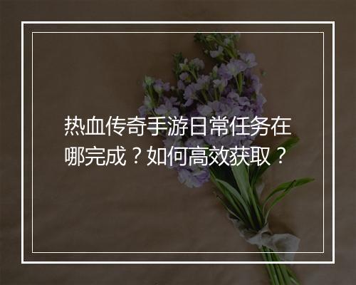 热血传奇手游日常任务在哪完成？如何高效获取？