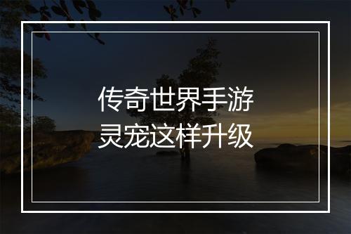 传奇世界手游灵宠这样升级