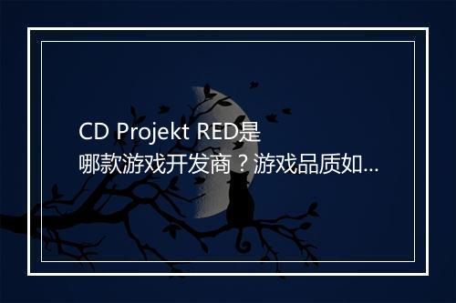 CD Projekt RED是哪款游戏开发商？游戏品质如何？