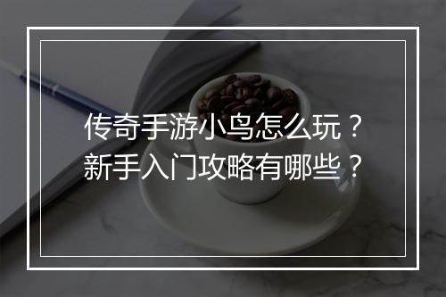 传奇手游小鸟怎么玩？新手入门攻略有哪些？
