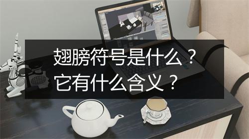 翅膀符号是什么？它有什么含义？