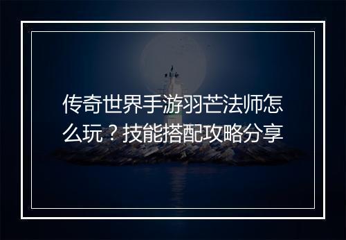传奇世界手游羽芒法师怎么玩？技能搭配攻略分享
