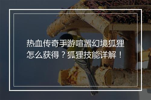 热血传奇手游喧嚣幻境狐狸怎么获得？狐狸技能详解！