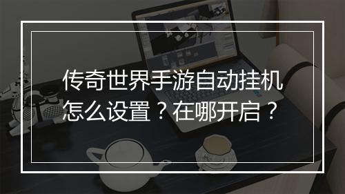 传奇世界手游自动挂机怎么设置？在哪开启？