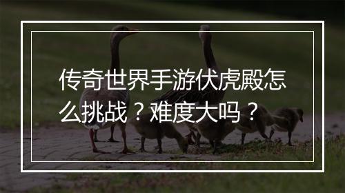 传奇世界手游伏虎殿怎么挑战？难度大吗？