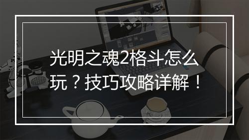 光明之魂2格斗怎么玩？技巧攻略详解！