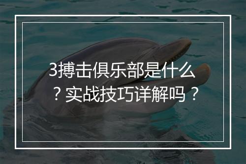 3搏击俱乐部是什么？实战技巧详解吗？