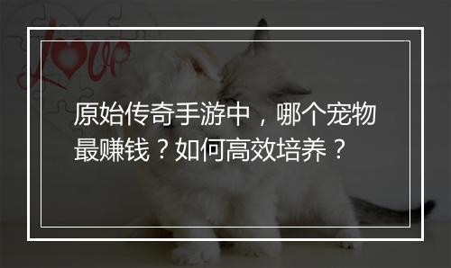原始传奇手游中，哪个宠物最赚钱？如何高效培养？