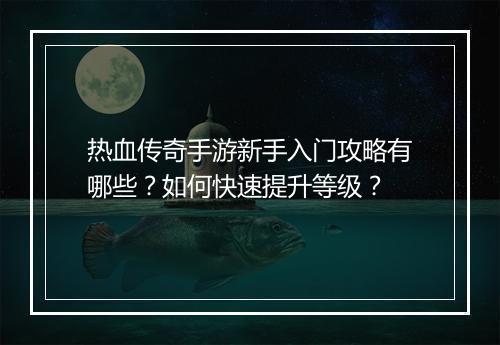 热血传奇手游新手入门攻略有哪些？如何快速提升等级？