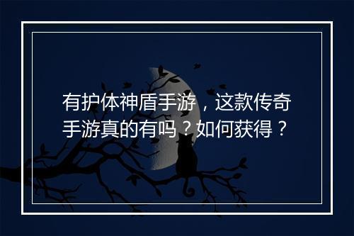 有护体神盾手游，这款传奇手游真的有吗？如何获得？