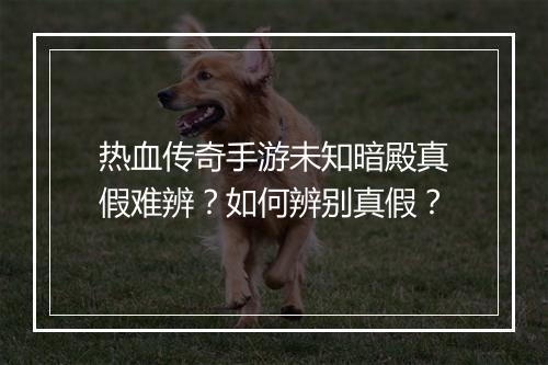 热血传奇手游未知暗殿真假难辨？如何辨别真假？