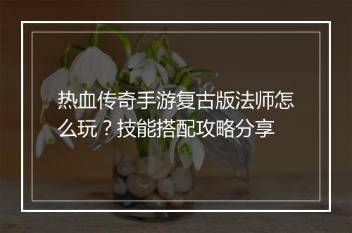 热血传奇手游复古版法师怎么玩？技能搭配攻略分享