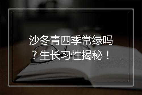 沙冬青四季常绿吗？生长习性揭秘！