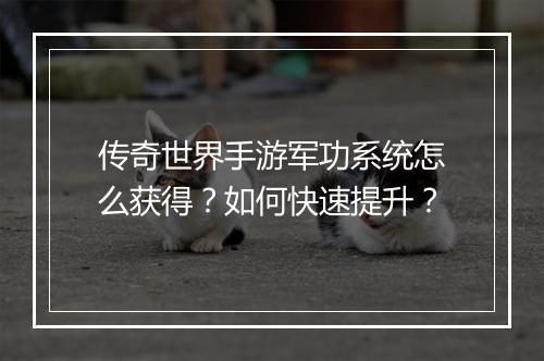 传奇世界手游军功系统怎么获得？如何快速提升？