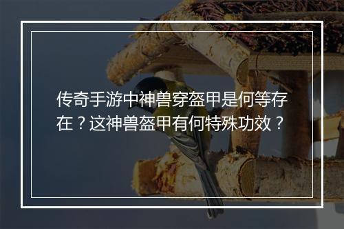 传奇手游中神兽穿盔甲是何等存在？这神兽盔甲有何特殊功效？