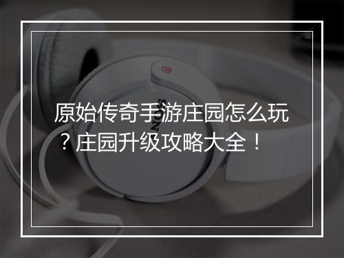 原始传奇手游庄园怎么玩？庄园升级攻略大全！