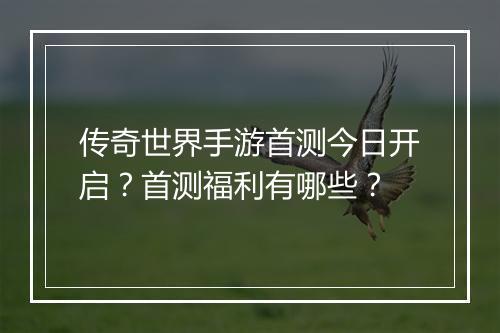 传奇世界手游首测今日开启？首测福利有哪些？