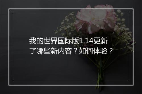 我的世界国际版1.14更新了哪些新内容？如何体验？