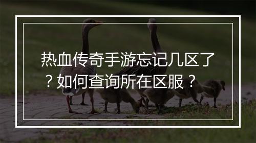 热血传奇手游忘记几区了？如何查询所在区服？